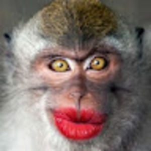 Meet your Posher, Traci